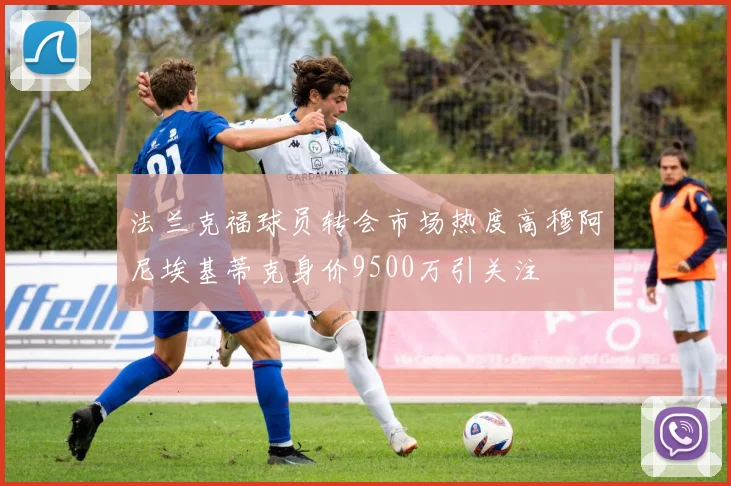 法兰克福球员转会市场热度高穆阿尼埃基蒂克身价9500万引关注