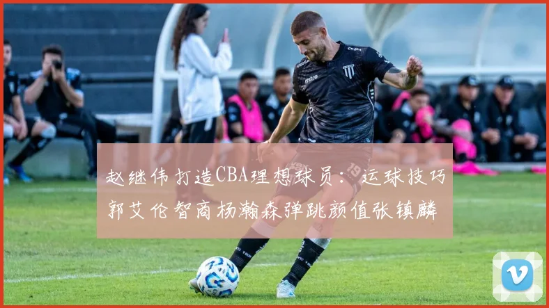 赵继伟打造CBA理想球员：运球技巧郭艾伦智商杨瀚森弹跳颜值张镇麟完美结合